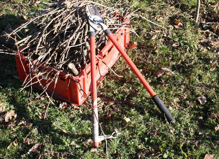 Tree loppers