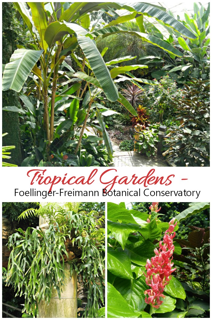 tropical gardens of the Foellinger-Freimann Botanical Conservatory Tropical gardens of Foellinger-Freimann Botanical Conservatory