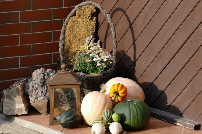 Fall vignette in an unused corner