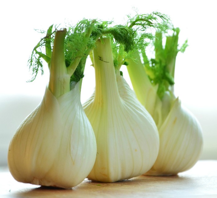 All parts of the fennel plant are edible.