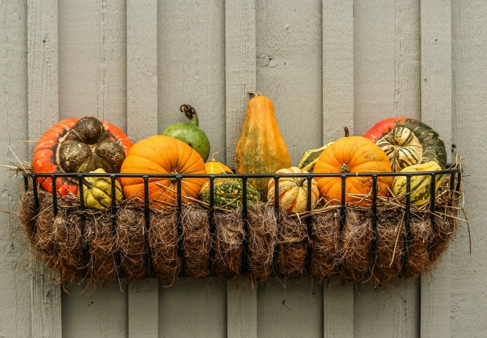 Gourds wall decoration in a wire basket