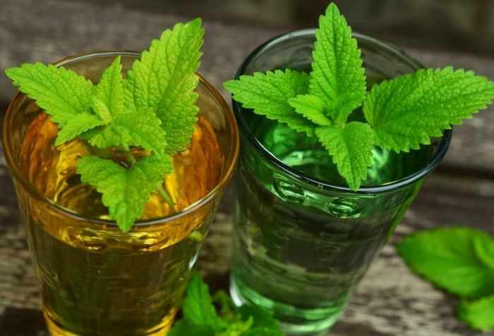 Lemon balm leaves give off a strong lemon smell when touched
