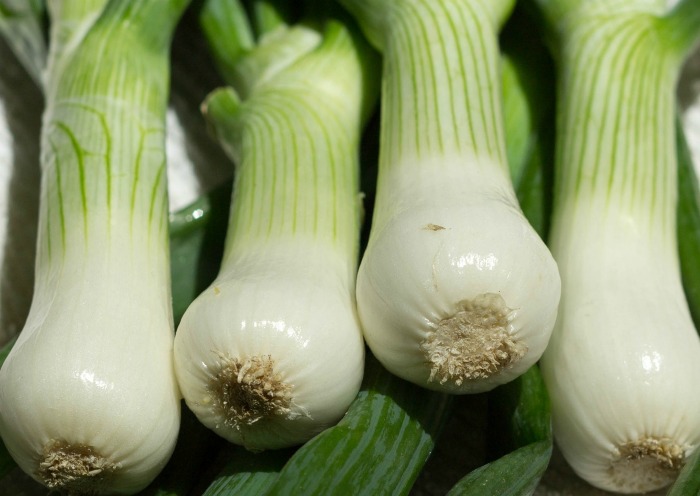 You can substitute the white end of scallions for shallots