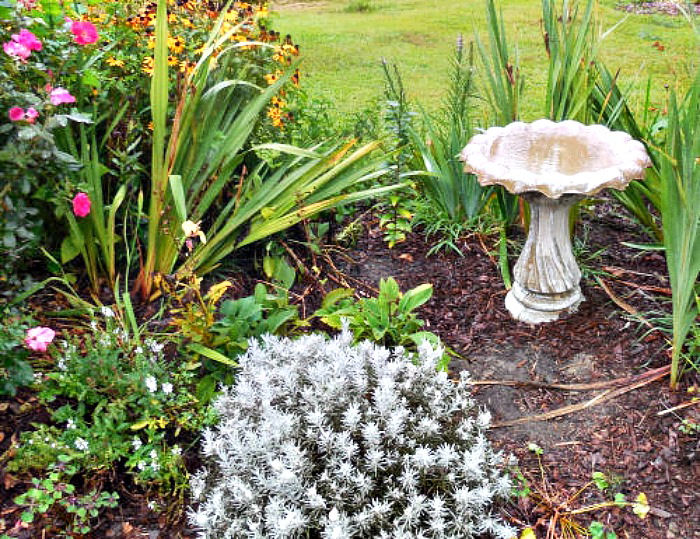 clean birdbath in a garden bed.