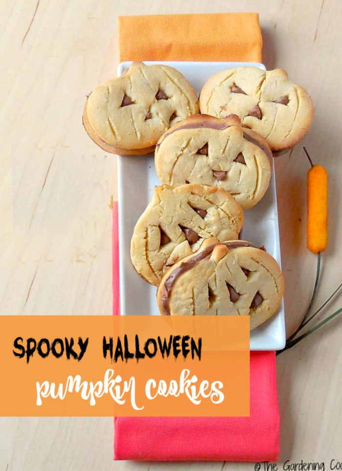 double Halloween Pumpkin cookies.