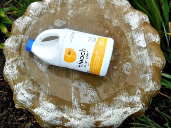 Bottle of bleach in a bird bath.