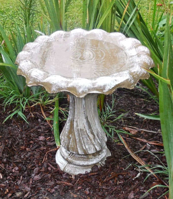 Clean Bird bath in a garden bed.