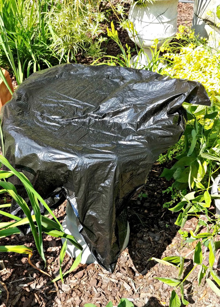 Covered bird bath with a black plastic garbage bag in a garden.