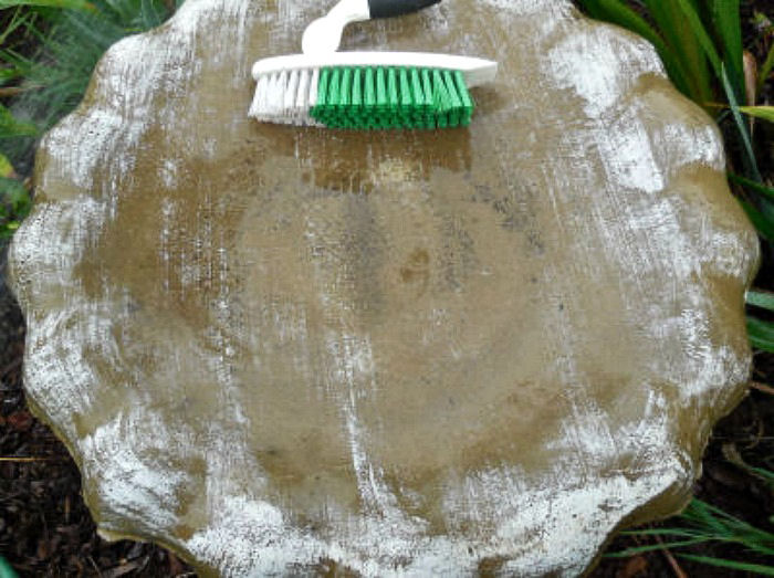 Scrubbing brush in a bird bath.