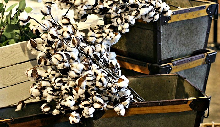 Cotton stems in galvanized bins