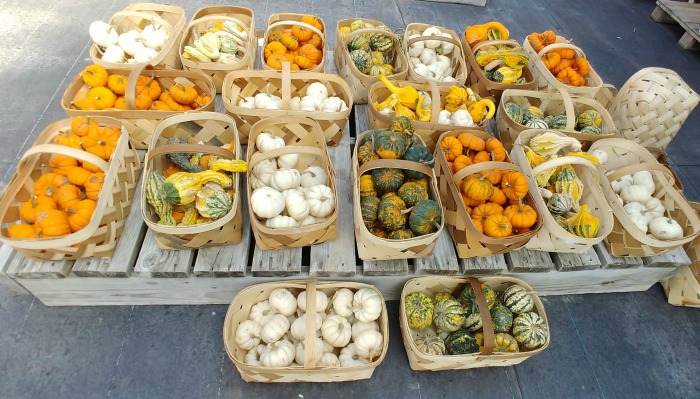 Baskets of gourds