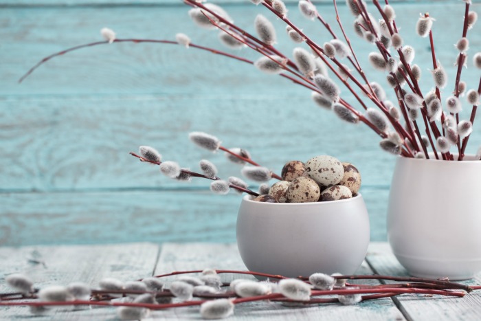 Pussy willows and quail eggs in white bowls.