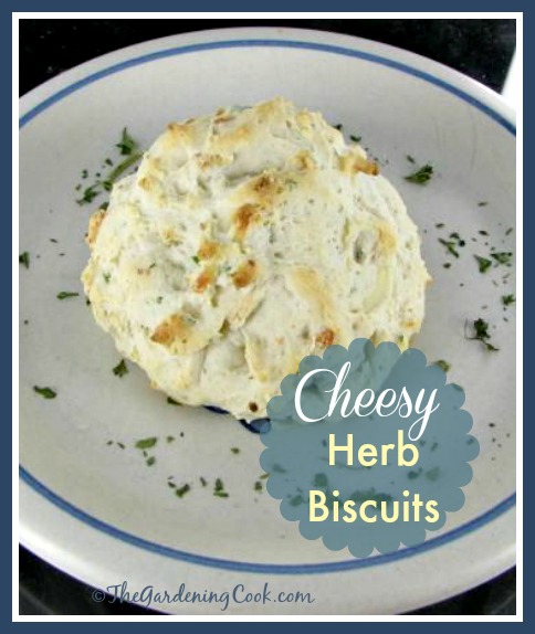 These cheesy herb biscuits have been lighted up to reduce the calories but flavor is added with a nice blend of fresh herbs