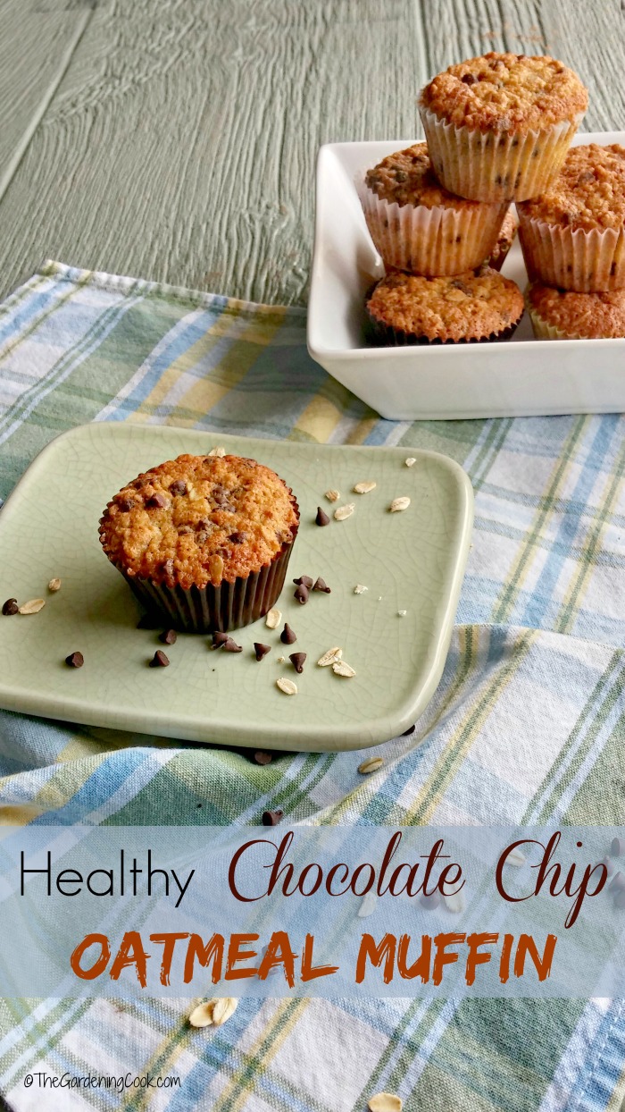 Chocolate Chip Oatmeal Muffins