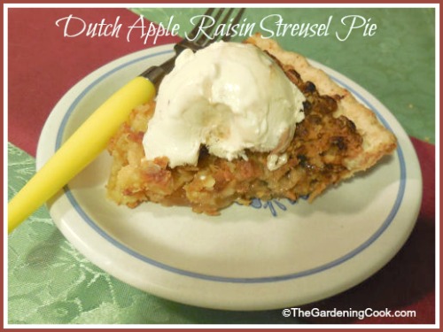 Dutch Apple Raisin Streusel Pie
