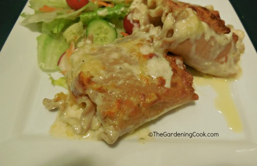 Chicken Alfredo Lasagne Roll Ups