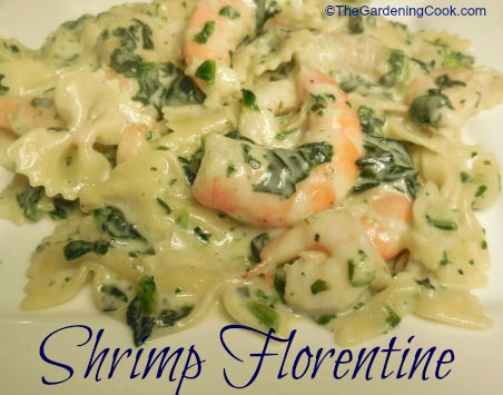 Shrimp Florentine with Bow Tie Pasta