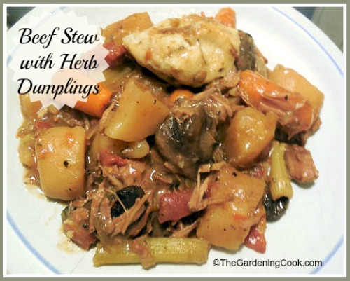 Hearty Beef Stew with Herbed Dumplings
