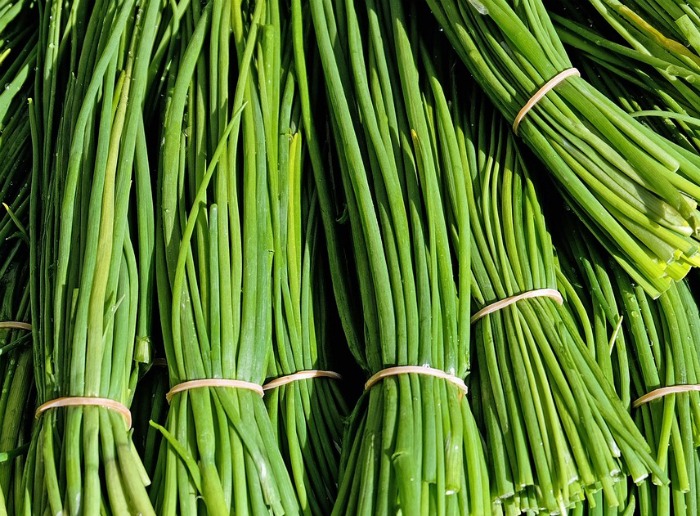 chives