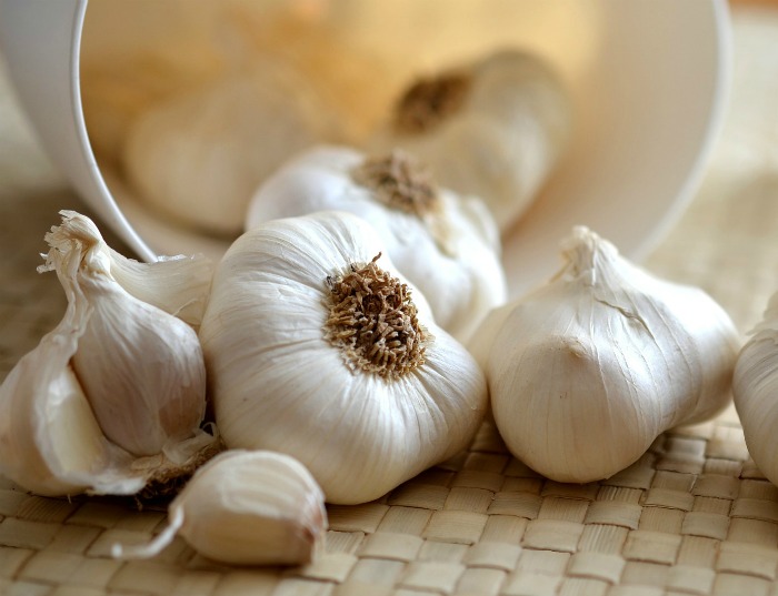 garlic heads