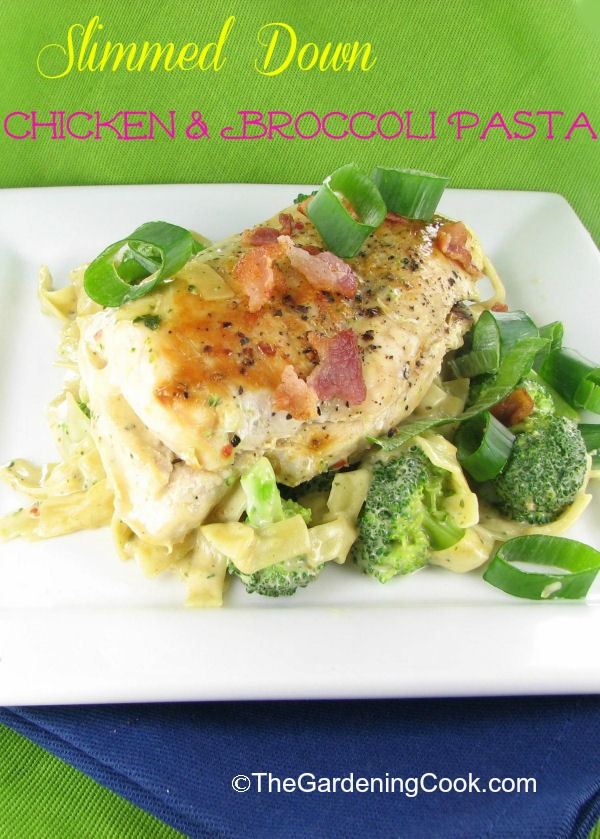 Chicken and Broccoli Pasta