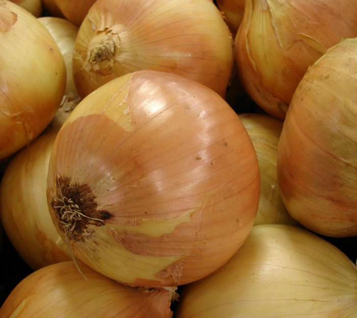 maui onions