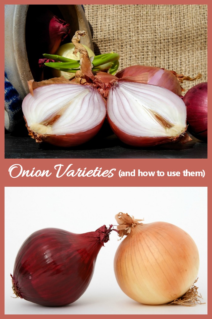 There are many types of onions. Each has its own distinctive flavor and is used in different types of recipes.