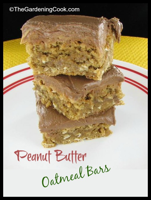 Peanut butter Oatmeal Bars with Chocolate Frosting