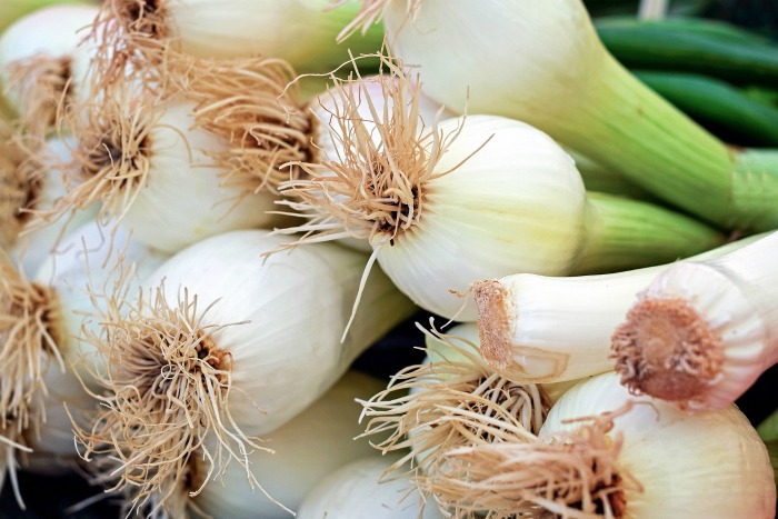 scallions and spring onions