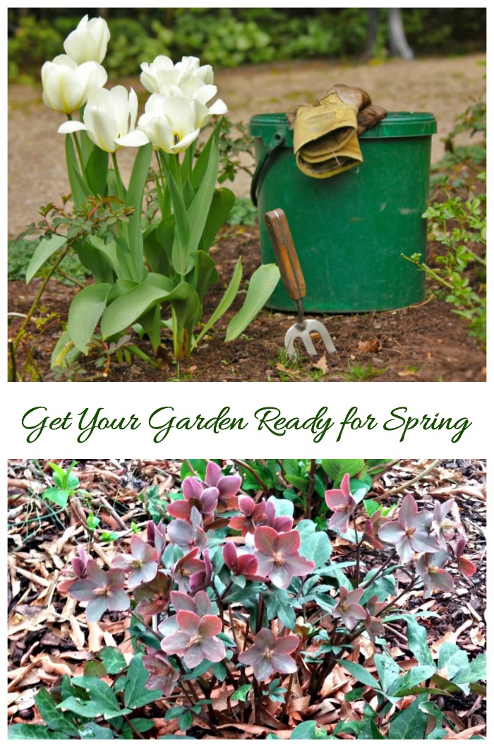 Tips for getting your garden ready for spring.
