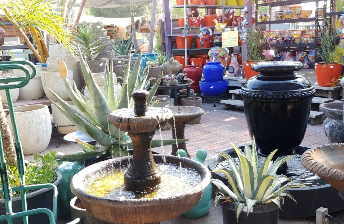 Succulent store
