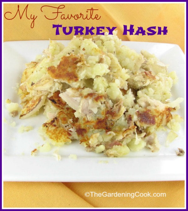 My Favorite Turkey Hash