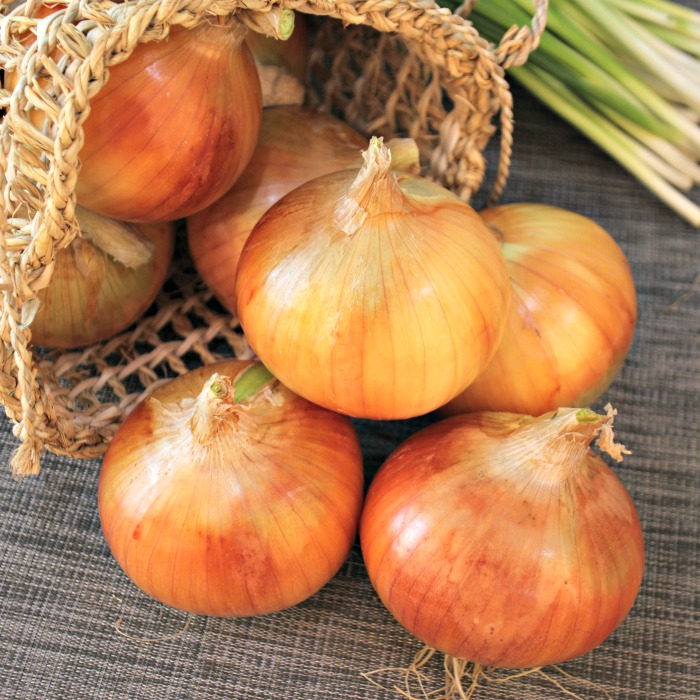 Onion Varieties – Types of Onions and How to Use Them