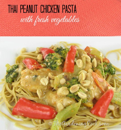 Peanut Chicken Pasta with Fresh Vegetables