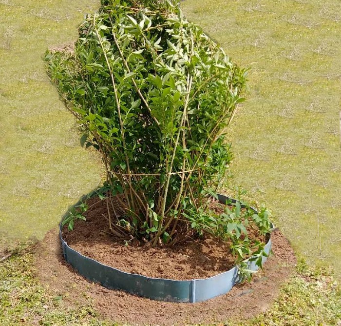 Extra soil inside edging