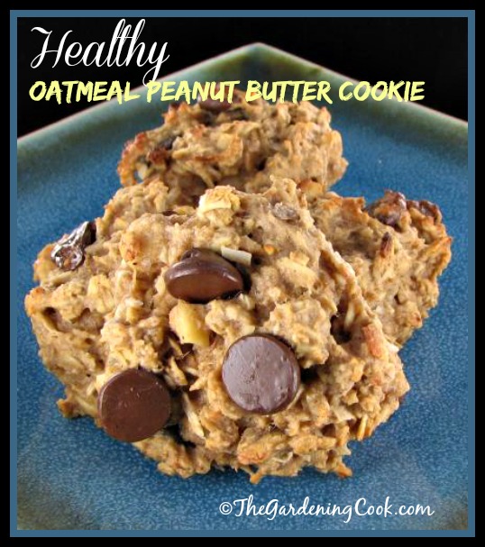 Healthy Peanut Butter Oatmeal Cookie Recipe