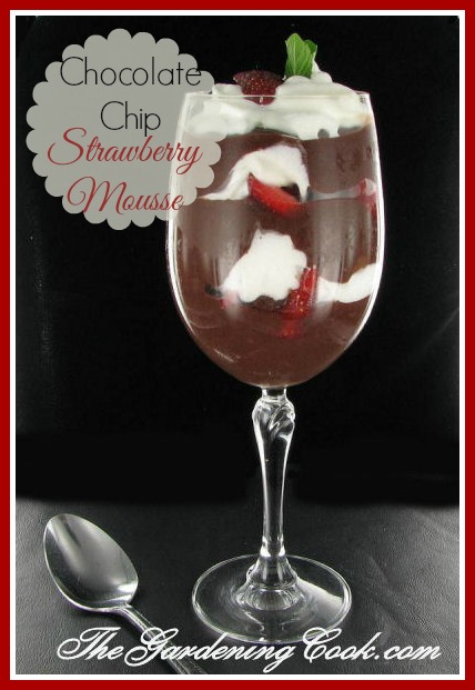 Strawberry Chocolate Chip Mousse