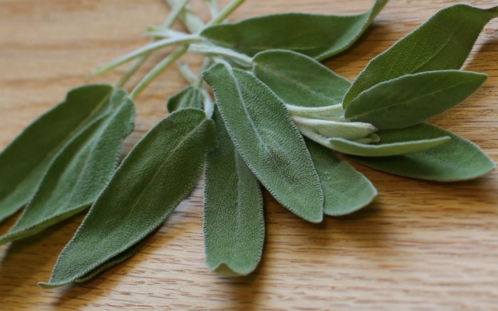 close up of sage leaves on a cutting board.