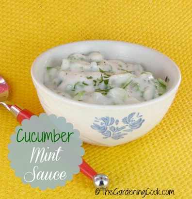 Cucumber Mint Sauce