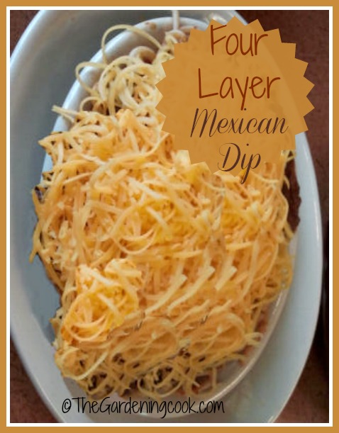 Mexican Chili Dip - A Crowd Pleaser