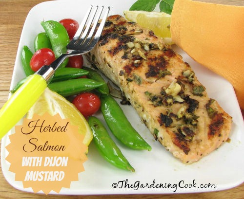 Herbed Salmon with Dijon Mustard