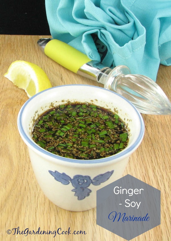 Ginger Soy Sauce Marinade with Chives