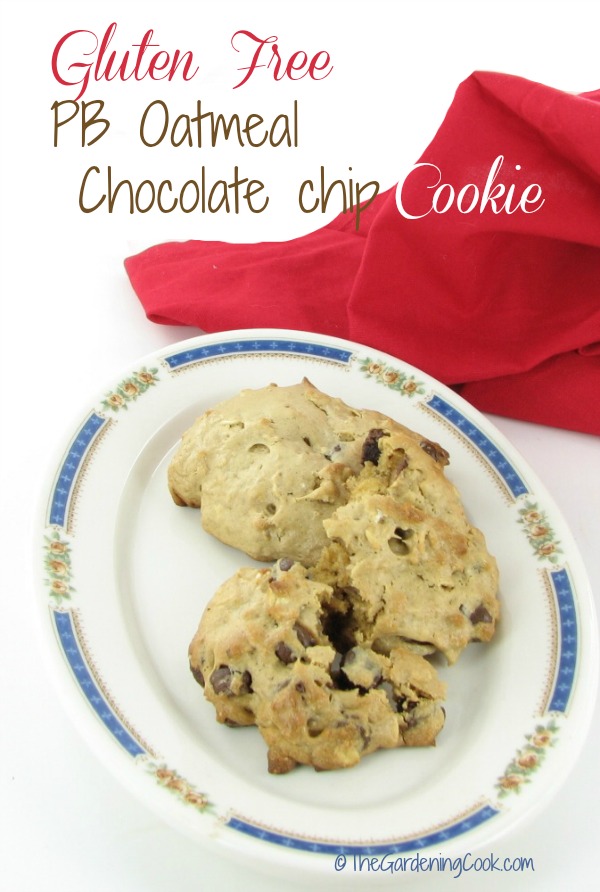 Gluten Free Peanut Butter Oatmeal chocolate chip cookie