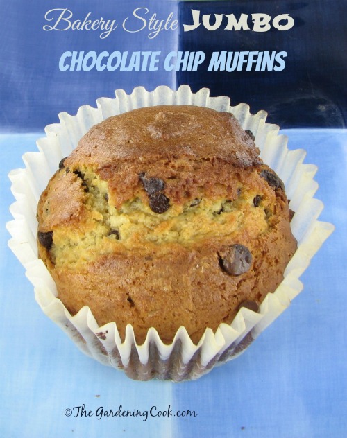 Bakery Style Jumbo Chocolate Chip Muffins