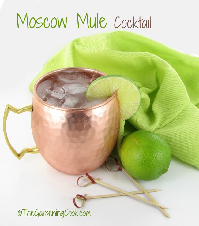 Moscow Mule