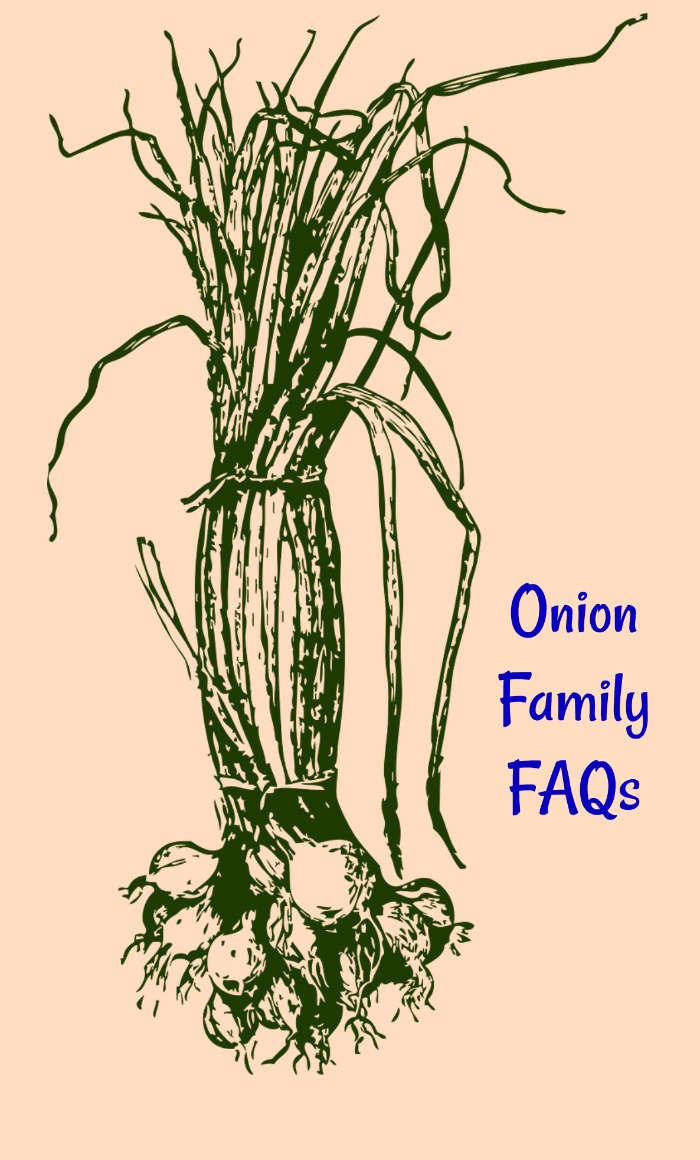 Onion Family FAQs