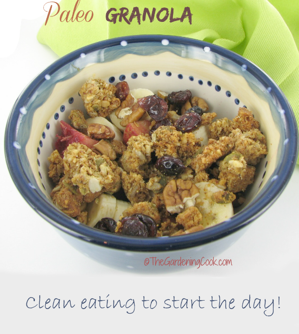 Paleo Granola - A Healthy Breakfast Treat