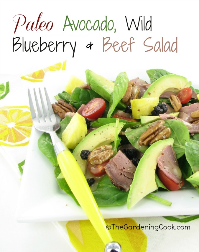 Paleo Beef Avocado Blueberry Salad with Maple Mustard Dressing
