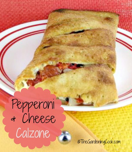 Pepperoni and cheese calzone with vegetables