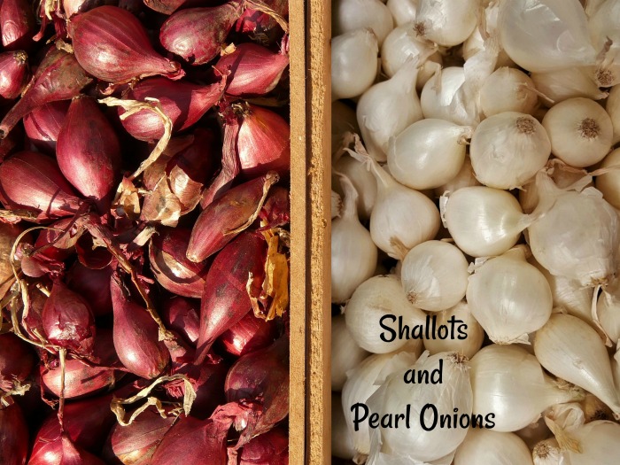 Are shallots the same as Pearl onions?